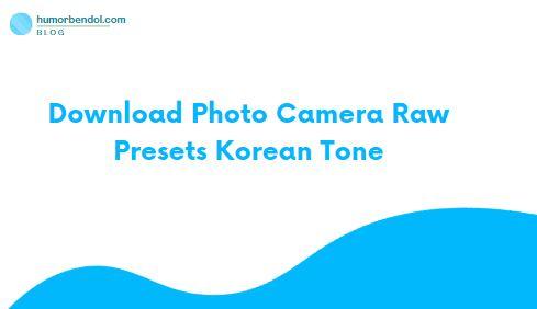 Download Photo Camera Raw Presets Korean Tone